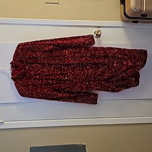 Holiday Ruched Red Sequin Dress